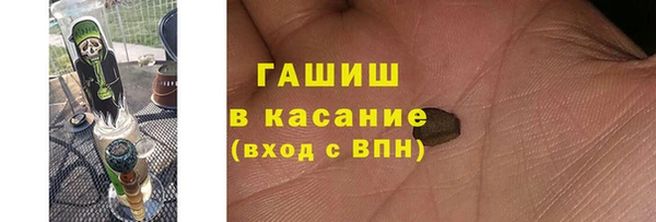 прущие грибы Армянск